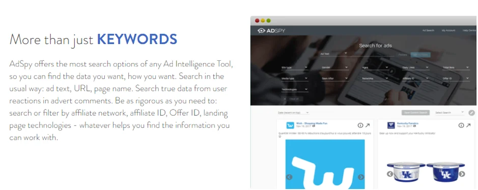 AdSpy search options